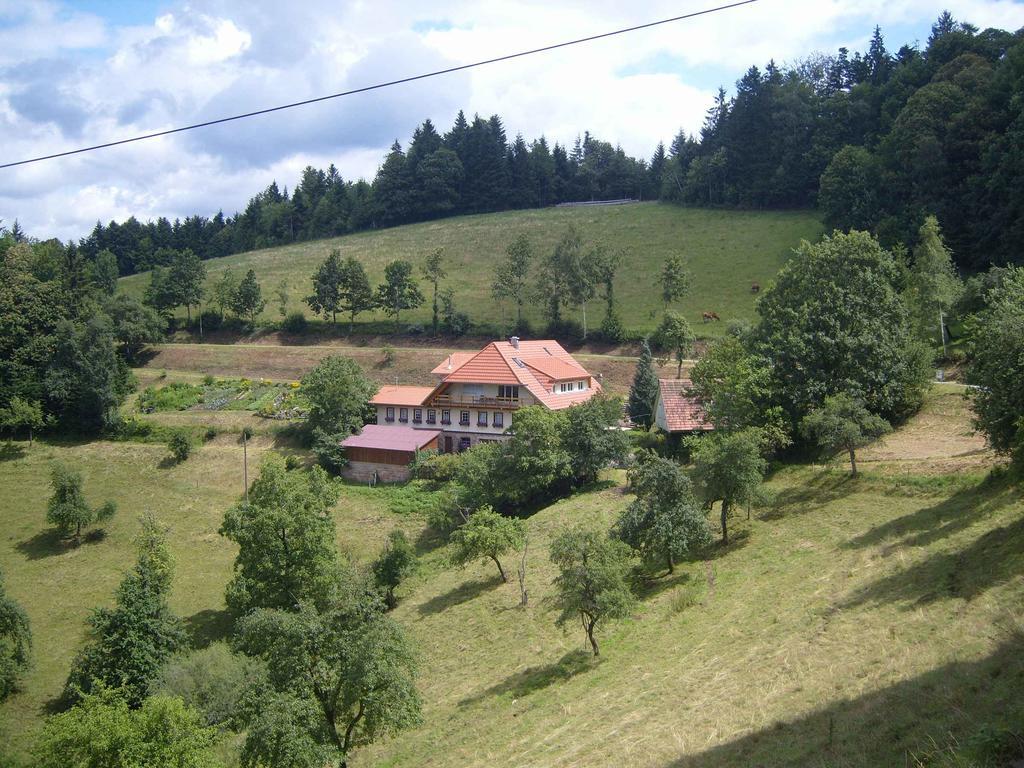 Langenberghof Daire Oberharmersbach Dış mekan fotoğraf