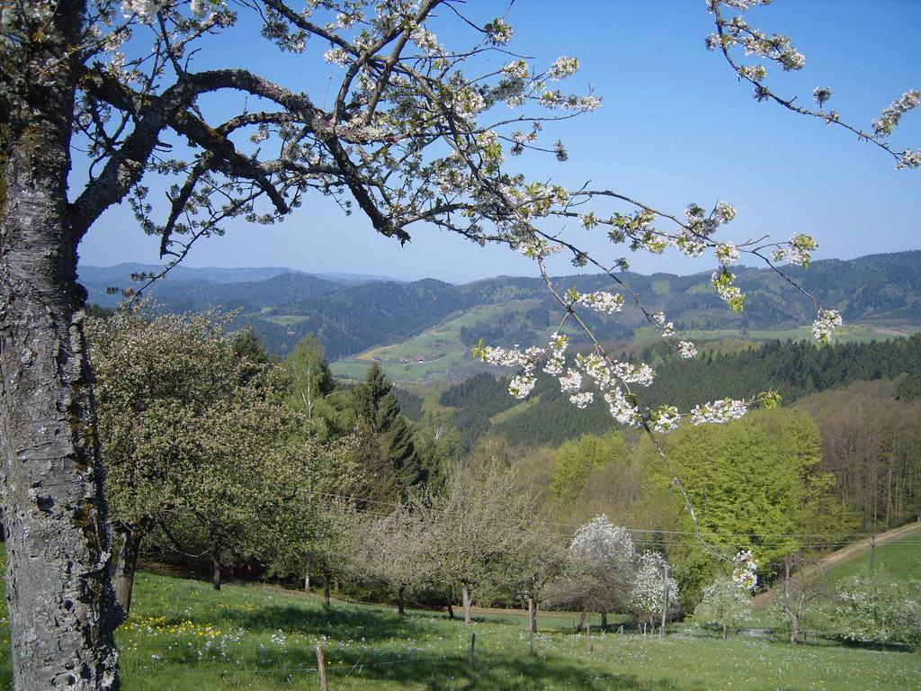 Langenberghof Daire Oberharmersbach Dış mekan fotoğraf