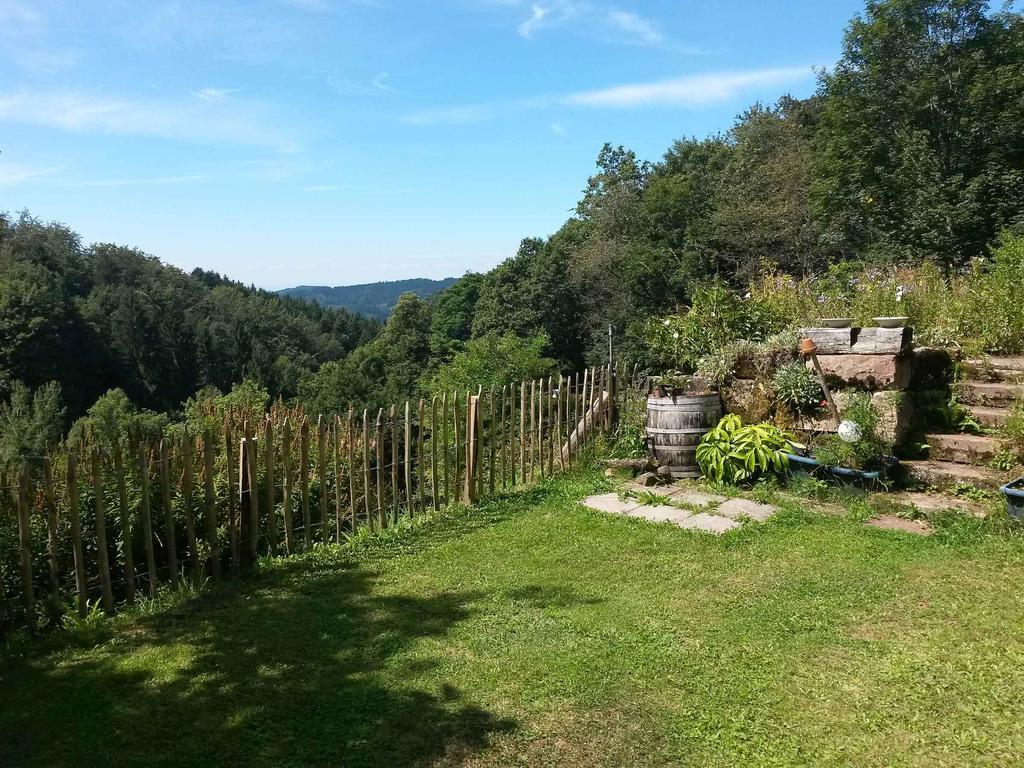 Langenberghof Daire Oberharmersbach Dış mekan fotoğraf