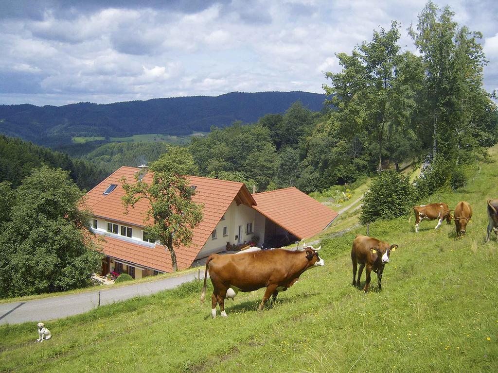 Langenberghof Daire Oberharmersbach Dış mekan fotoğraf