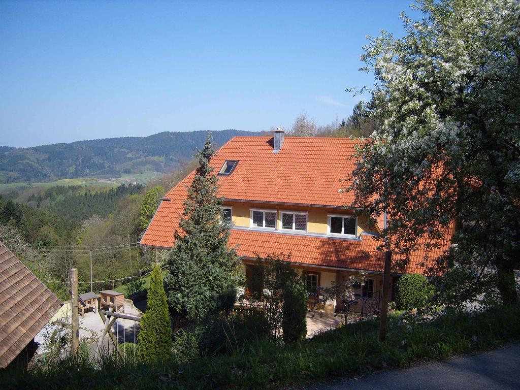 Langenberghof Daire Oberharmersbach Dış mekan fotoğraf