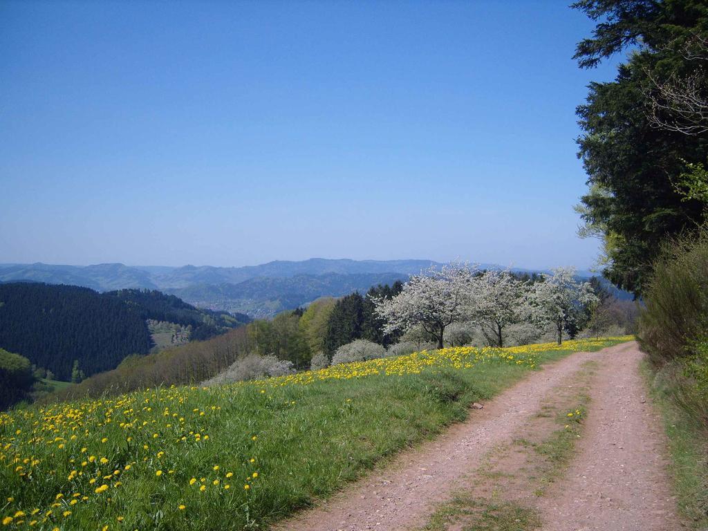 Langenberghof Daire Oberharmersbach Dış mekan fotoğraf