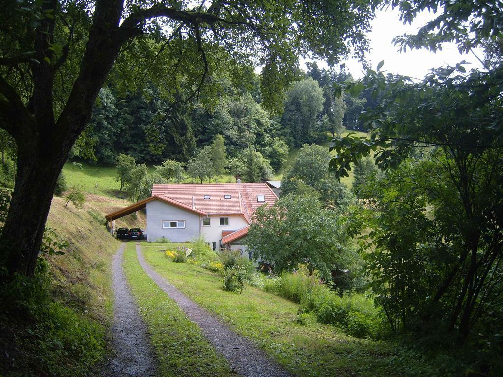 Langenberghof Daire Oberharmersbach Dış mekan fotoğraf