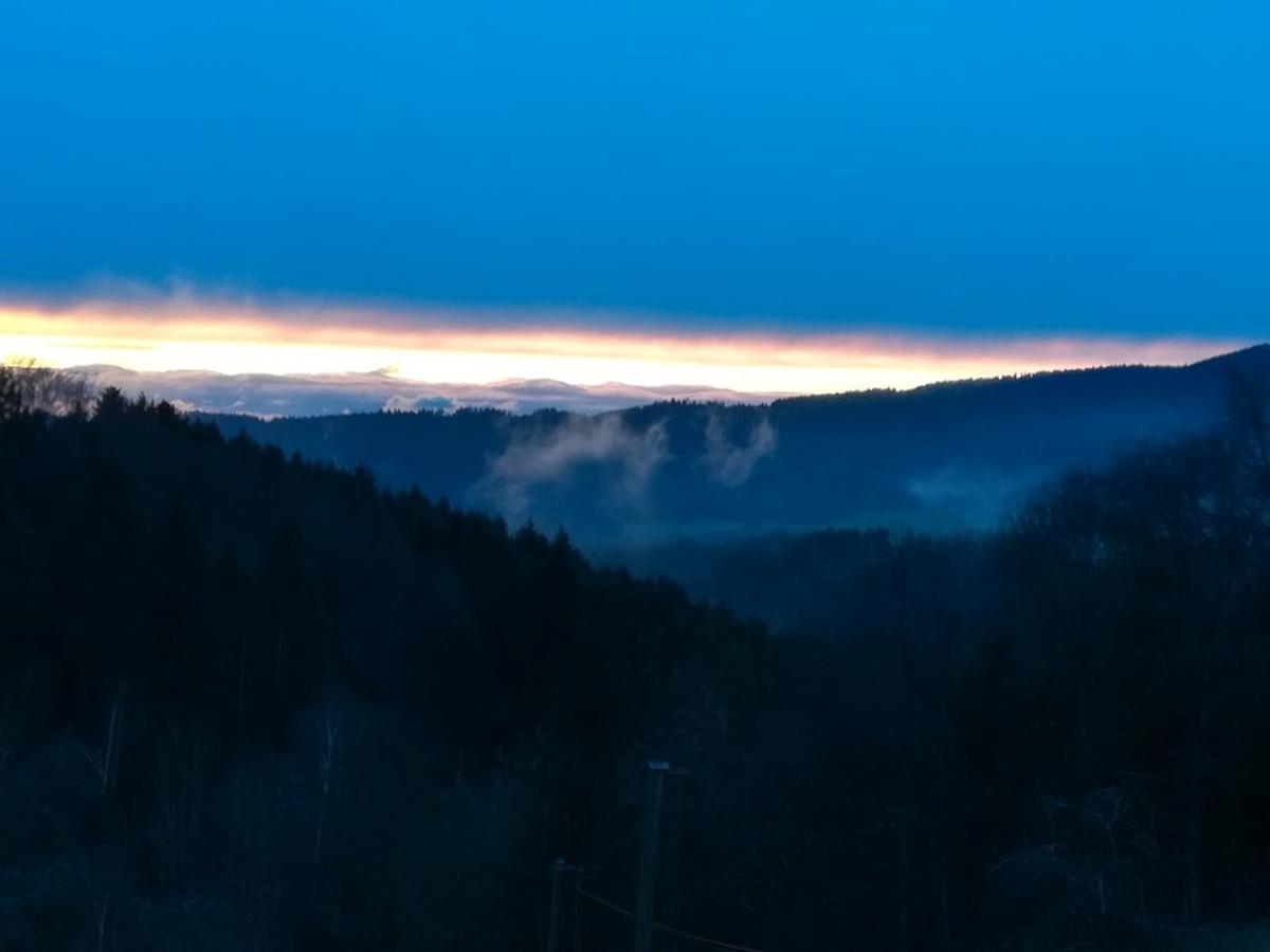 Langenberghof Daire Oberharmersbach Dış mekan fotoğraf