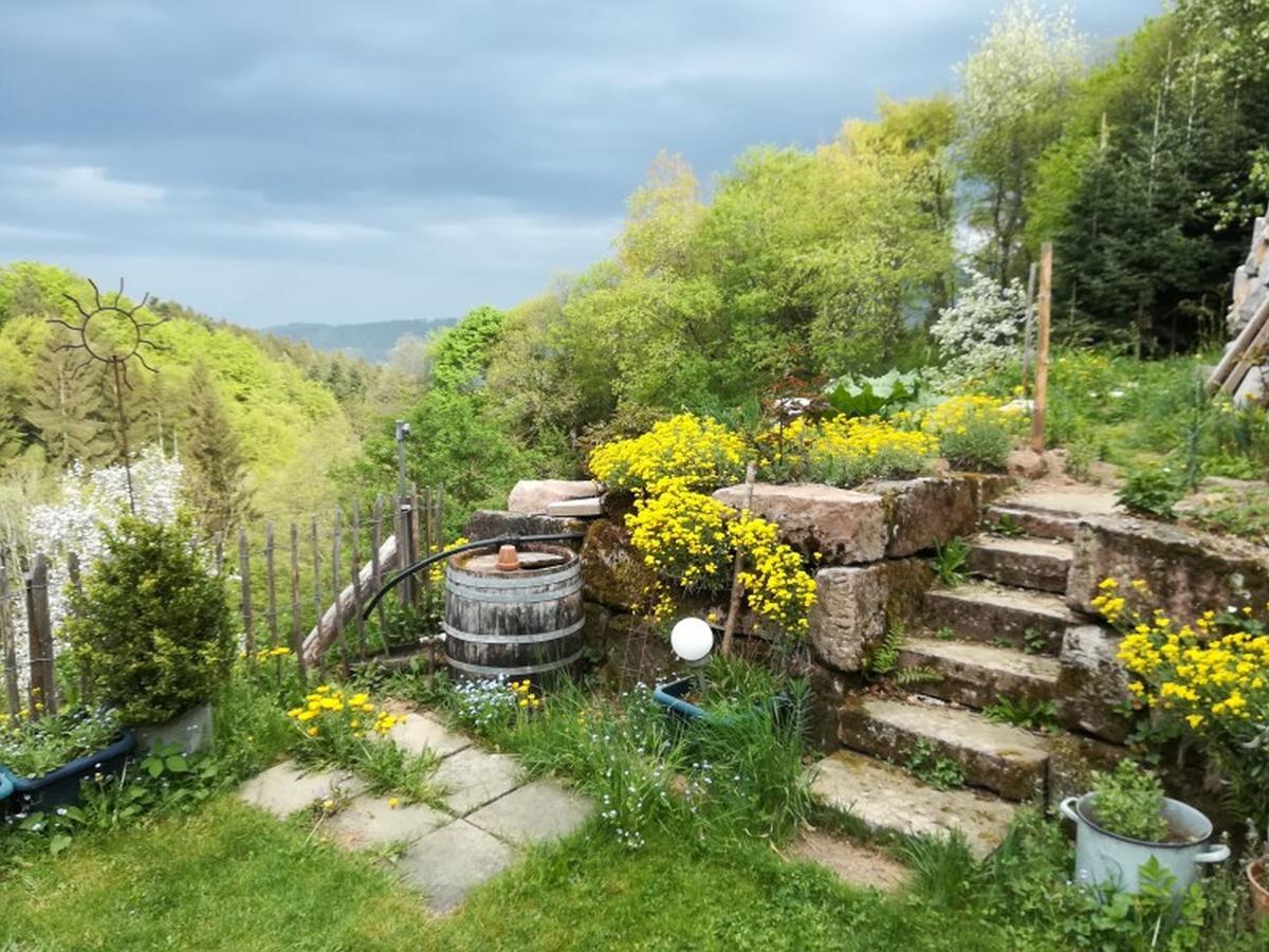 Langenberghof Daire Oberharmersbach Dış mekan fotoğraf