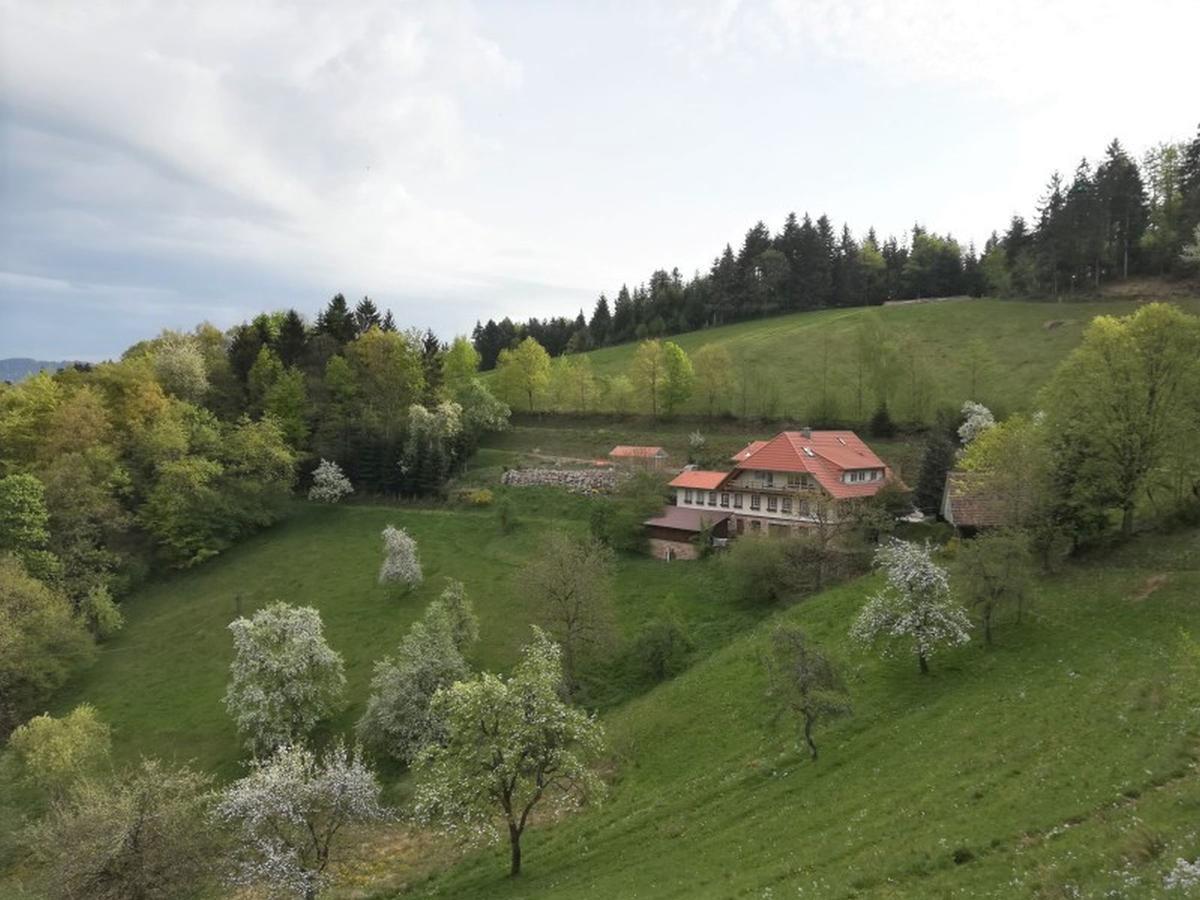 Langenberghof Daire Oberharmersbach Dış mekan fotoğraf