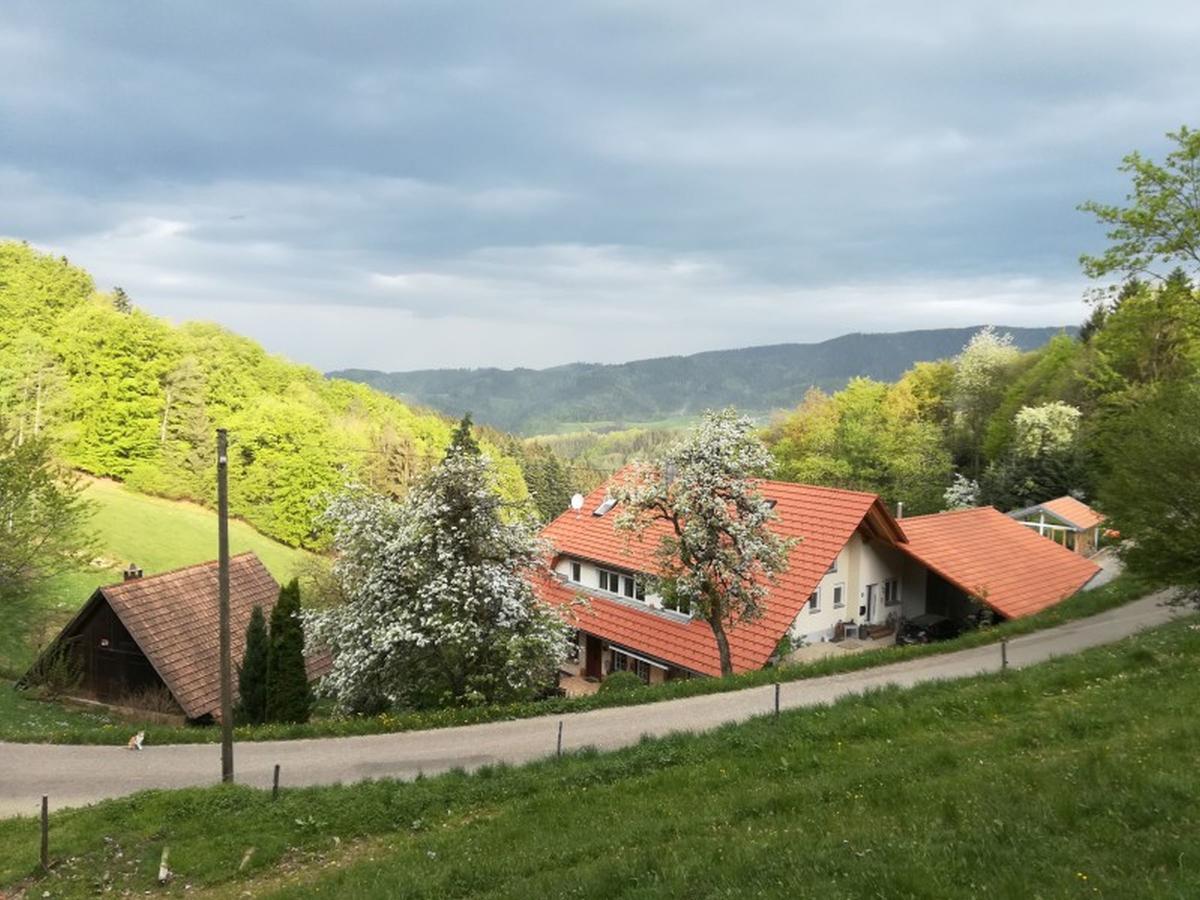 Langenberghof Daire Oberharmersbach Dış mekan fotoğraf