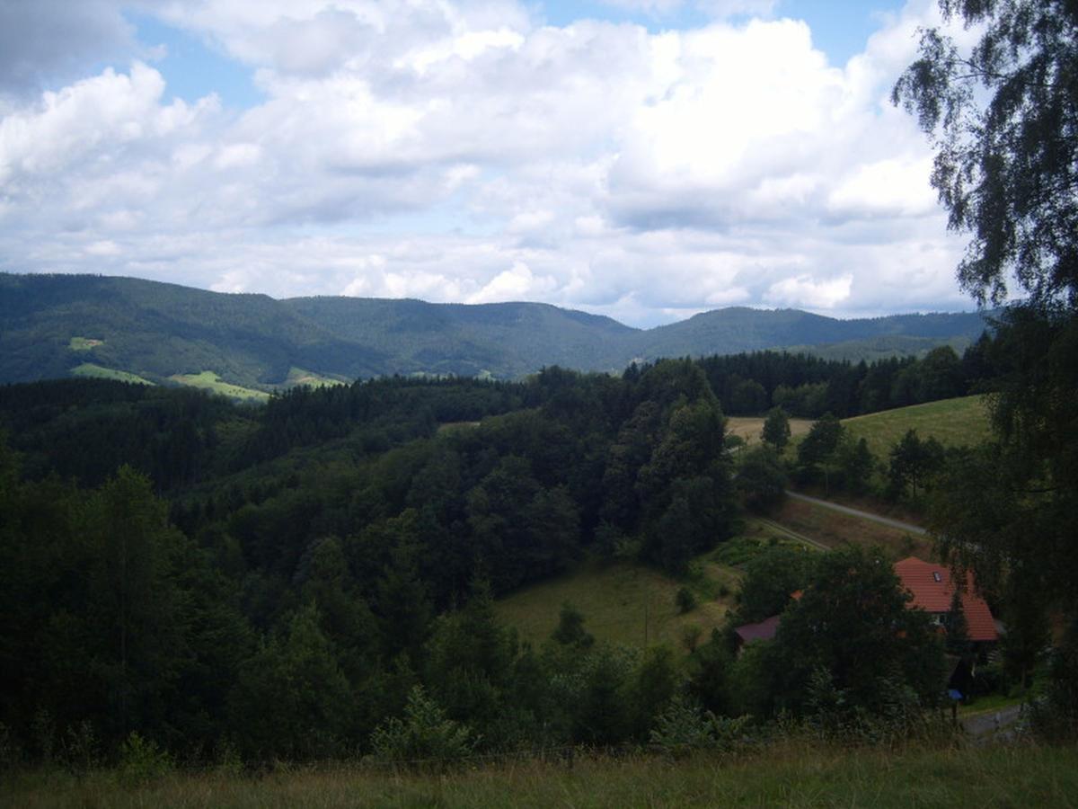 Langenberghof Daire Oberharmersbach Dış mekan fotoğraf