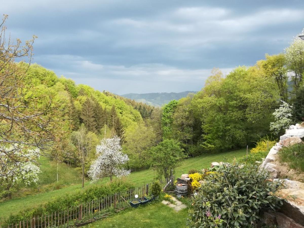 Langenberghof Daire Oberharmersbach Dış mekan fotoğraf