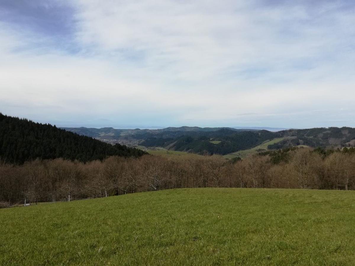 Langenberghof Daire Oberharmersbach Dış mekan fotoğraf