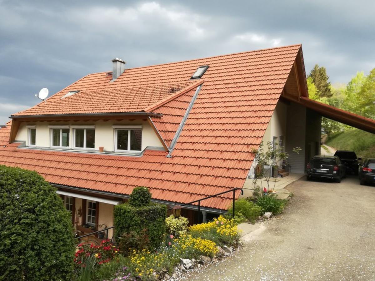 Langenberghof Daire Oberharmersbach Dış mekan fotoğraf