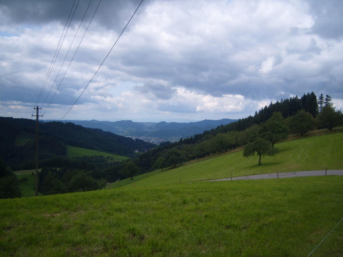 Langenberghof Daire Oberharmersbach Dış mekan fotoğraf